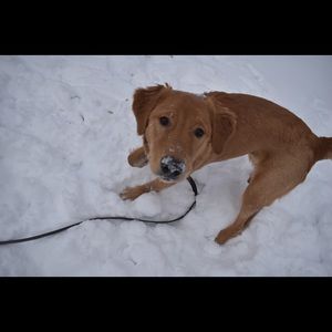 Meet your Posher, Ellyn